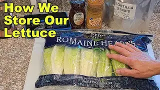 How We Have Been Storing Our Lettuce