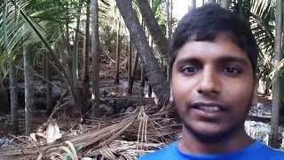 Murud Village. VLOG 4