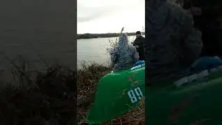рыбалка на пеленгаса