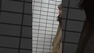 화장실 가는데 막힘