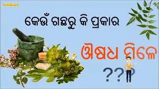 Odia Ayurveda Medicinal Plants II କେଉଁ ଗଛରୁ କି ପ୍ରକାର ଔଷଧ ମିଳେ? II