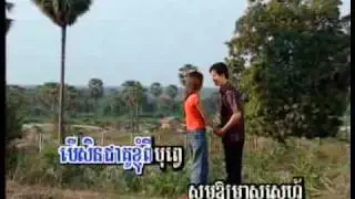 Chompa Battambang (Battambang Flower)