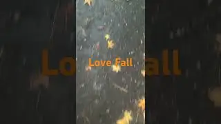 #Leaves