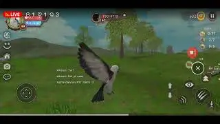 First Livestream!