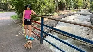 Август в Алматы☀️Покупки☀️Новое увлечение
