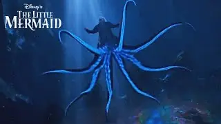 ursula || have we got a deal?
