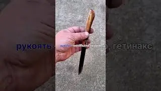 1 ноября 2023 г.