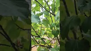 تساقطات مطرية مهمة بمعظم مناطق المغرب