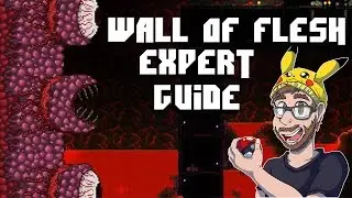 how to defeat the wall of flesh solo on expert - Terraria 1.3 Tutorial the Wall of flesh expert