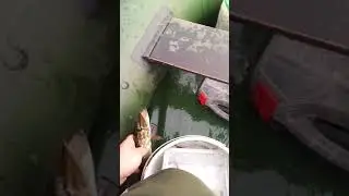 Отпускаем карандаша