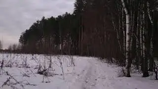 Подмосковье, ранняя весна