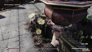 Fallout76:FARMING WILD CARROT FLOWER