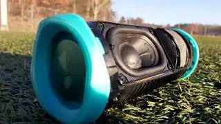 JBL FLIP GG WARPING IN SUN / 100% LFM