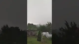 Лето нас покинуло. Сильный дождь и порывистый ветер.