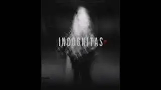 AMS Por Si Preguntas (Audio Oficial)