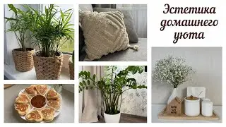 🛍️ FIX PRICE, WILDBERRIES ДЛЯ ДОМА /🥞 ВКУСНЫЕ РЕЦЕПТЫ 🍗🥗 / НОВЫЙ ЦВЕТОК 🪴/ МОТИВАЦИЯ НА УБОРКУ🧹🧺🧽