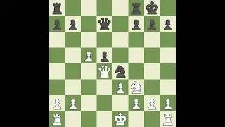 Araiza Munoz Jose Joaquin (MEX) VS Spielmann Rudolf (AUT)