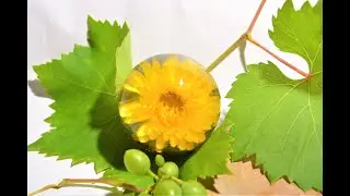 Авторское стекло Юлии Куракиной. Астра желтая малая 6 см