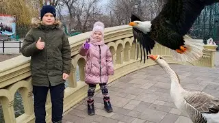 Прогулка в зоопарке