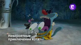 Невероятные приключения кота
