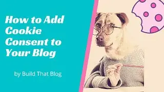 How to Add Cookie Consent to Your WordPress Blog