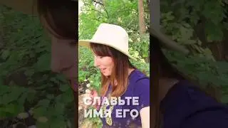 Виктория Барладян - Славьте