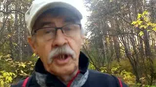 мультфильм