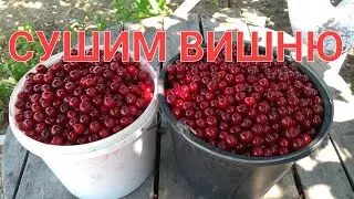 КАК МЫ СУШИМ ВИШНЮ. ЖИЗНЬ У МОРЯ.Переез на юг.