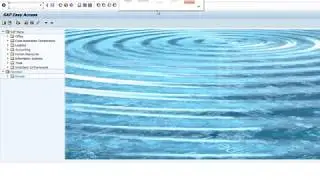 How to change the Material Description in SAP