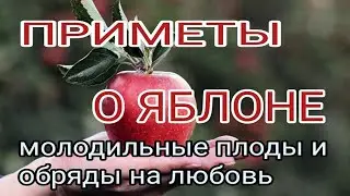 Приметы о яблоне: молодильные плоды и обряды на любовь