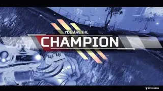 Weekly Highlights Pt.2