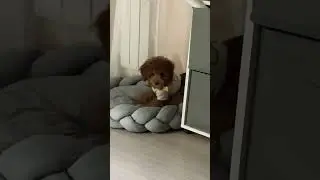 😂🤪
