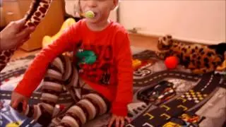 zirafa