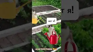лейки... 