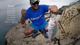 Ribolov Na Moru - Zubatac (Dentex) ulovljen tehnikom Shore Jigging