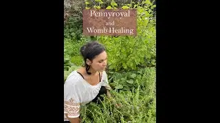 Pennyroyal and womb healing from the Ivywood Garden