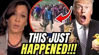 Kamala Harris FREAKS OUT CAUGHT After Her Bus DROPPED OFF 100,000 HAITIAN MIGRANTS In OHIO