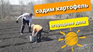 САДИМ КАРТОФЕЛЬ|ОГОРОДНЫЕ ДЕЛА#жизнь в деревне