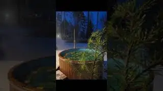 🍃 Атмосферное видео от наших ЛБИМЫХ клиентов  #бани #купели #релакс #сибирскоездоровье