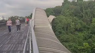 Exploring Henderson Waves Bridge, Singapore 🇸🇬