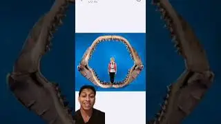MEGALODON තාම ඉන්නවද? #anarchysaurus #megalodon