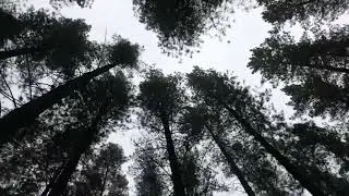 Original Ambient Metal Track 