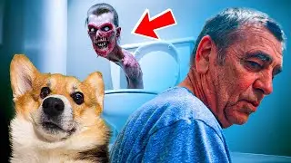 SKIBIDY TOILET ATE HUMAN GRANDFATHER!! (Corgi Cupcake) Talking Dog