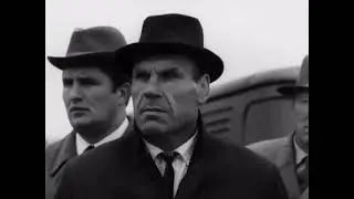 17 января 2021, Внуково