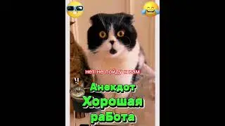 Анекдот про Хорошую работу. 
