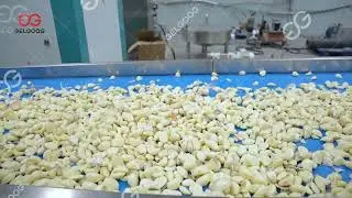 Commercial Garlic Peeler Machine 