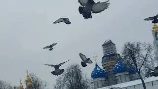 Сергиев Посад