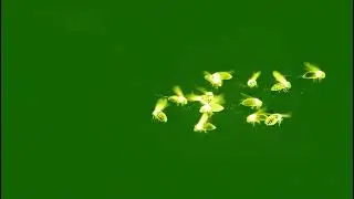 Emotional Fireflies 4K Animation Green Screen: Magical Glowing Particles Overlay Effect