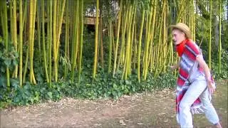 La Vaquera de la Finojosa