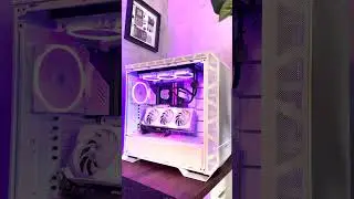 The 